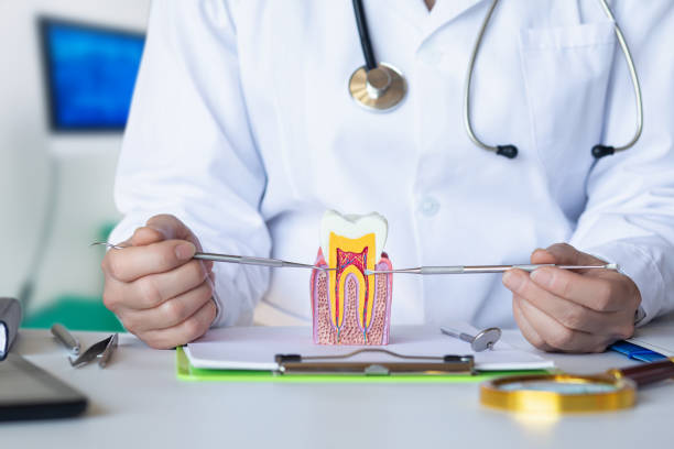 Best Orthodontic Emergency Dentist in Petersburg, MI